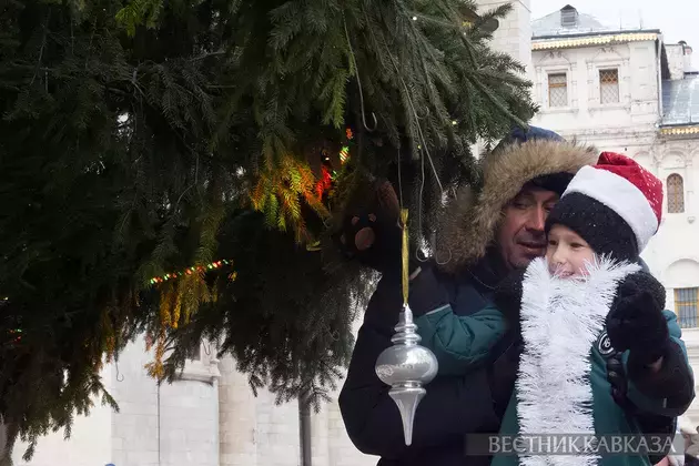 Russia's main national Christmas tree lit up in Kremlin