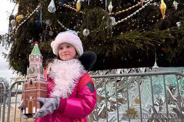 Russia's main national Christmas tree lit up in Kremlin
