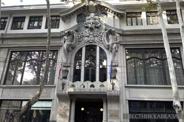 Bochorishvili criticizes EU for unpragmatic double standards