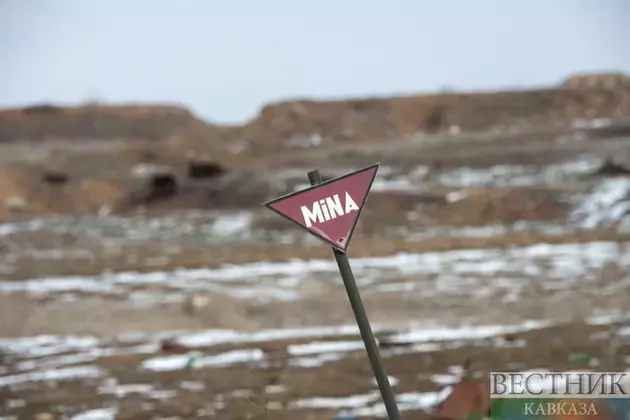 Azerbaijan clears over 5,000 hectares of mines in one month