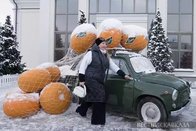 Ryazan – New Year's capital of Russia 2026