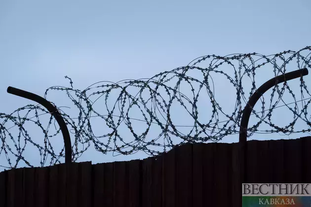 Former deputy health minister detained in Georgia