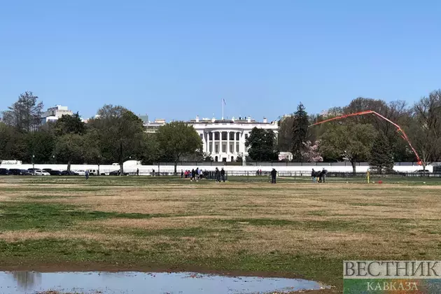 Hamas has no choice - Witkoff on Gaza ceasefire