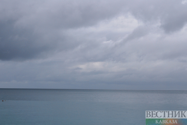 Majority of leaked oil collected in Black Sea waters