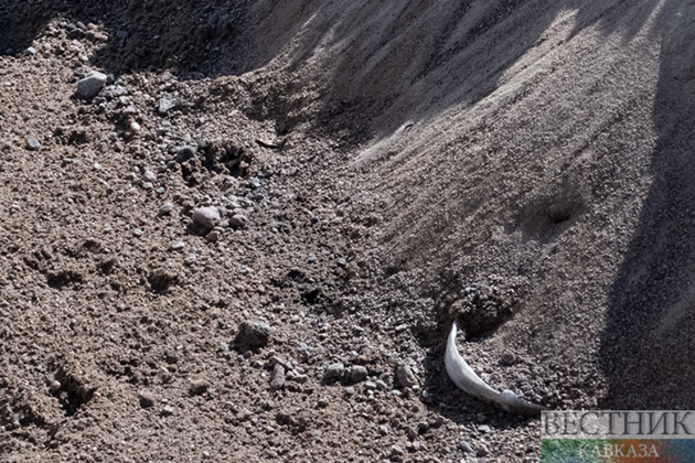 Extremely rare artifact unearthed in Bahrain