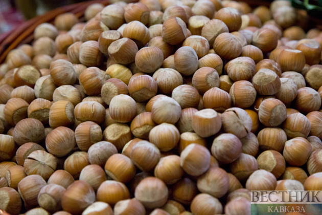 Azerbaijan exported nearly 171 million dollars worth of hazelnuts