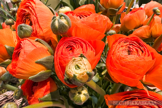 March 8 in Moscow: What flowers are given on International Women's Day?