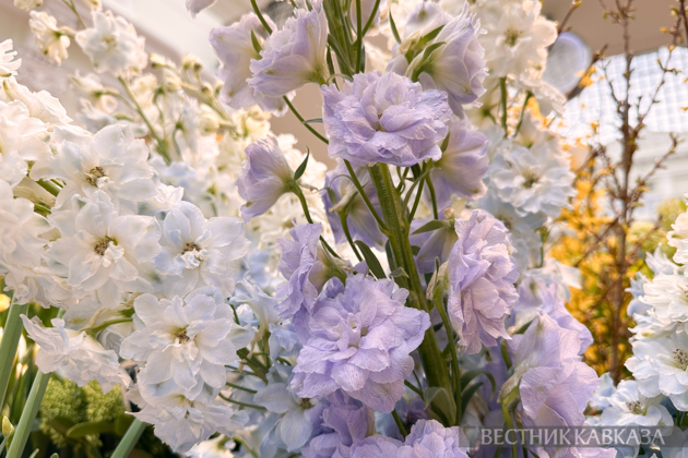 March 8 in Moscow: What flowers are given on International Women's Day?