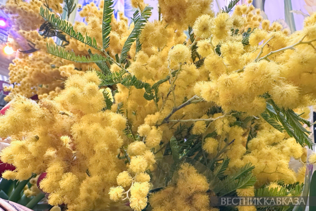 March 8 in Moscow: What flowers are given on International Women's Day?