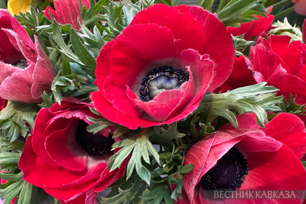 March 8 in Moscow: What flowers are given on International Women's Day?