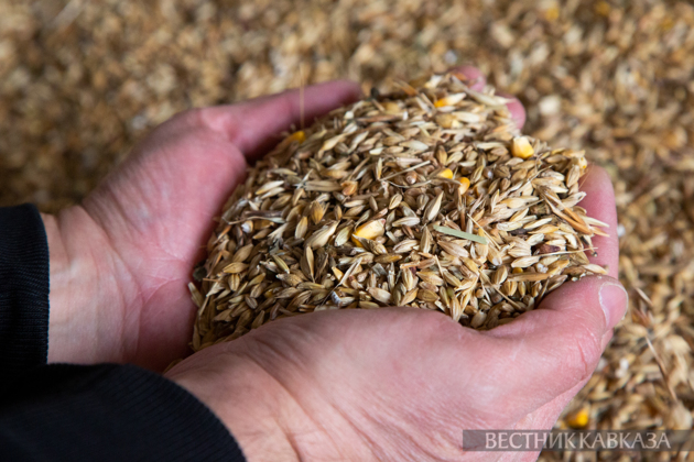 Russia supplies 23,500 tons of grain to Armenia via Azerbaijan