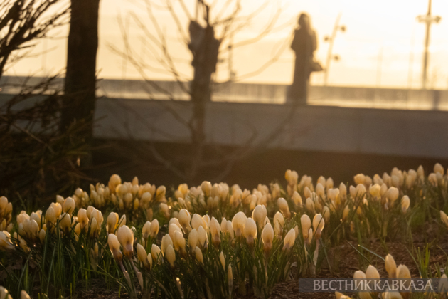 March 2026 in Moscow: Eid al-Fitr festival, March 8, primroses, and Dubai