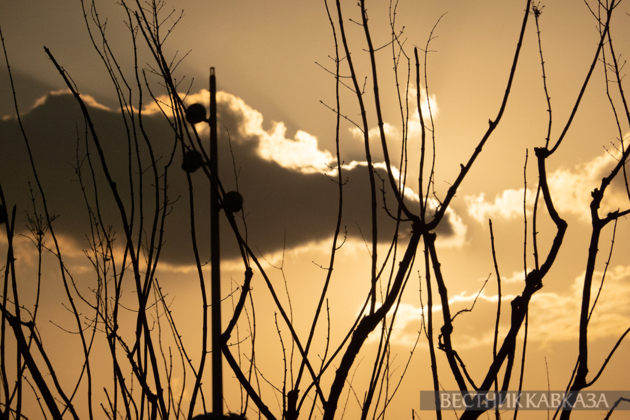 March 2026 in Moscow: Eid al-Fitr festival, March 8, primroses, and Dubai