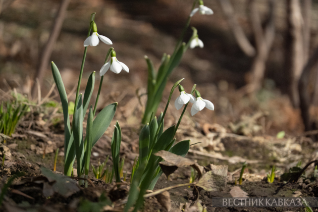 March 2026 in Moscow: Eid al-Fitr festival, March 8, primroses, and Dubai