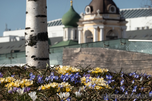 Primroses in Zaryadye: How spring came to Moscow
