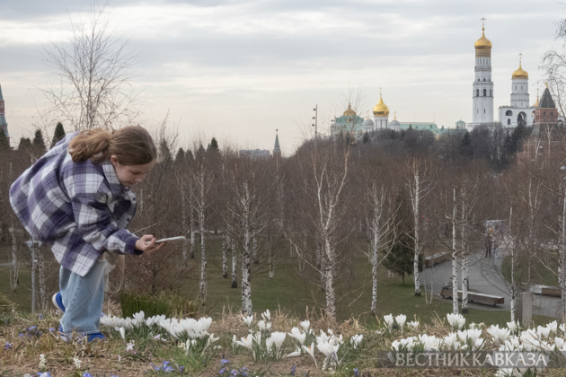 Primroses in Zaryadye: How spring came to Moscow
