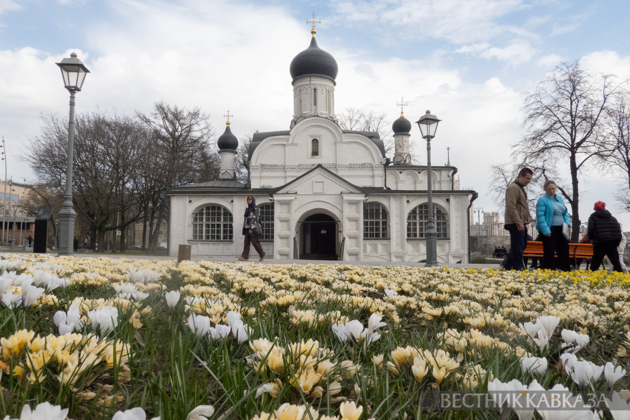 Primroses in Zaryadye: How spring came to Moscow