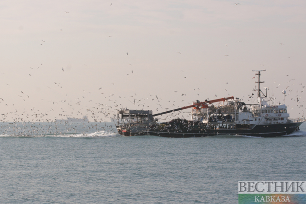 Iran opens Strait of Hormuz to ships with humanitarian aid - report