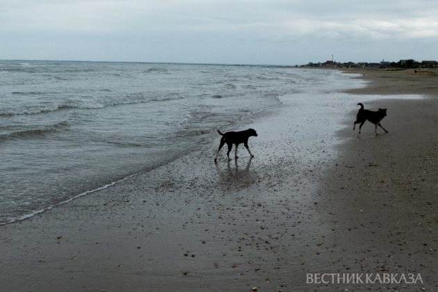 Overnight earthquake shakes Caspian Sea