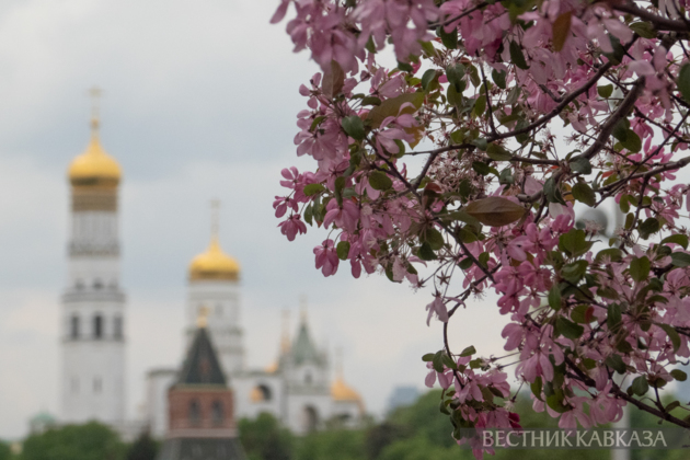 Spring in Moscow 2026: Lilacs, Apple and Cherry Blossoms, and Tulips in Russia's capital