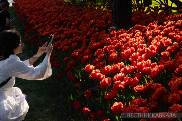 Spring in Moscow 2026: Lilacs, Apple and Cherry Blossoms, and Tulips in Russia's capital