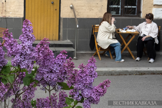 Spring in Moscow 2026: Lilacs, Apple and Cherry Blossoms, and Tulips in Russia's capital