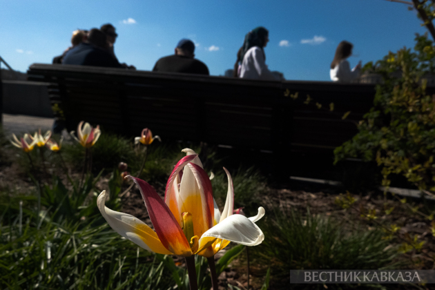 Spring in Moscow 2026: Lilacs, Apple and Cherry Blossoms, and Tulips in Russia's capital