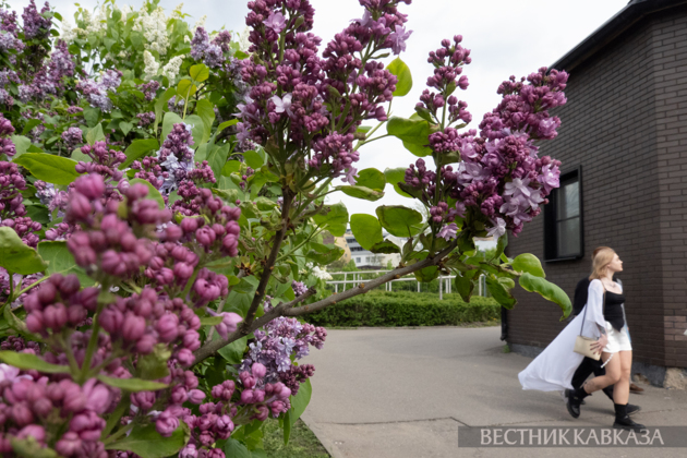 Spring in Moscow 2026: Lilacs, Apple and Cherry Blossoms, and Tulips in Russia's capital