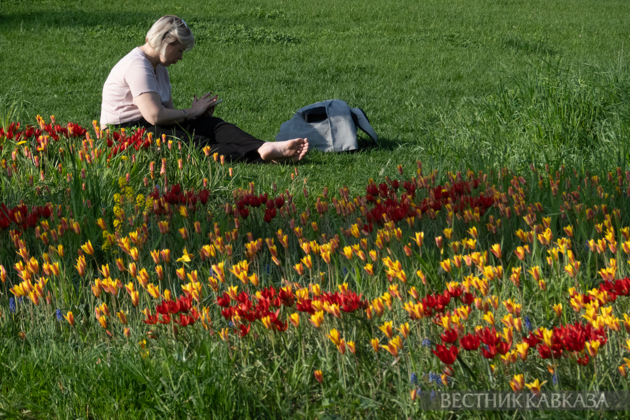 Spring in Moscow 2026: Lilacs, Apple and Cherry Blossoms, and Tulips in Russia's capital