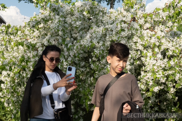 Spring in Moscow 2026: Lilacs, Apple and Cherry Blossoms, and Tulips in Russia's capital