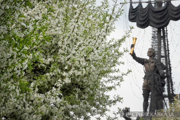 Spring in Moscow 2026: Lilacs, Apple and Cherry Blossoms, and Tulips in Russia's capital