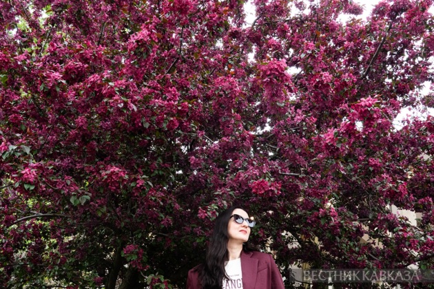 Spring in Moscow 2026: Lilacs, Apple and Cherry Blossoms, and Tulips in Russia's capital