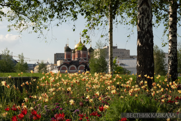 Spring in Moscow 2026: Lilacs, Apple and Cherry Blossoms, and Tulips in Russia's capital