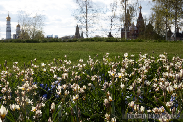 Spring in Moscow 2026: Lilacs, Apple and Cherry Blossoms, and Tulips in Russia's capital