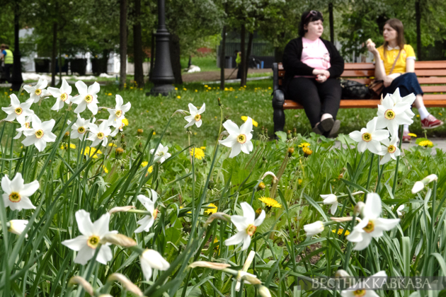 Spring in Moscow 2026: Lilacs, Apple and Cherry Blossoms, and Tulips in Russia's capital