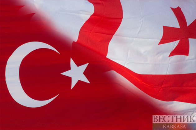 Georgia and Türkiye discuss economy and Middle Corridor