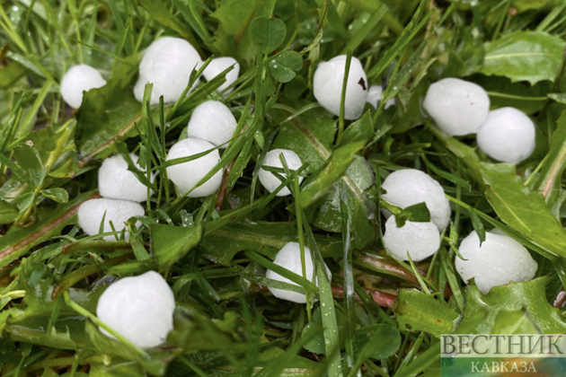 Nearly 16,000 hectares of crops damaged by hail in Stavropol Krai