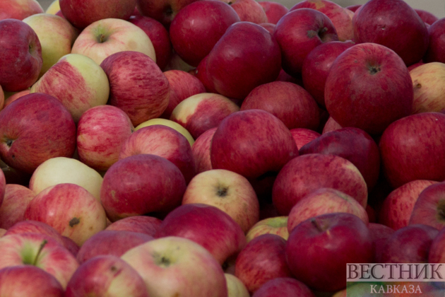Russia remains leading importer of Georgian apples