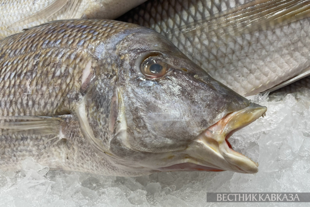 Russia bans fish imports from all Armenia