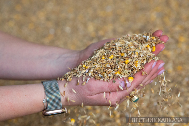 Russian farmers harvest over 1 mln tons of grain