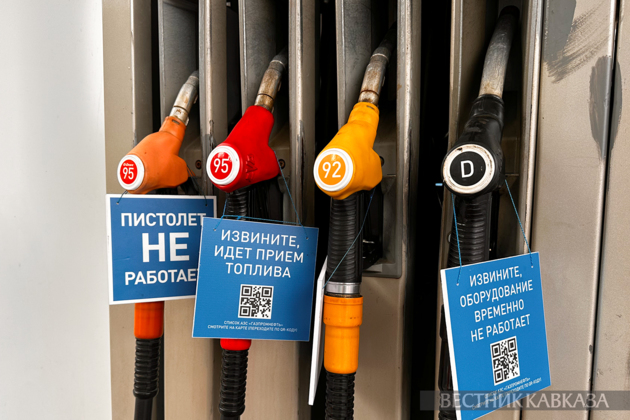 Novak describes Russian fuel market situation as tough