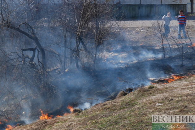 Most wildfires across Türkiye under control