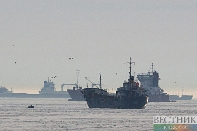 At least 10 merchant vessels pass through Strait of Hormuz in past day