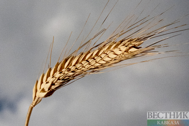 Russia transits another wheat shipment to Armenia via Azerbaijan