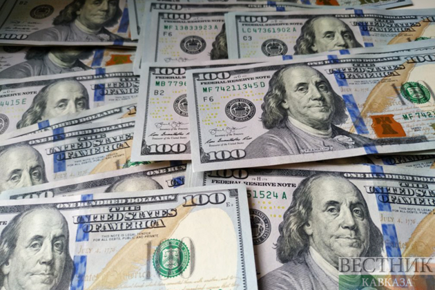 Georgia's international currency reserves set a record