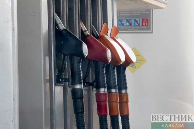 Russian deputy PM orders additional fuel measures