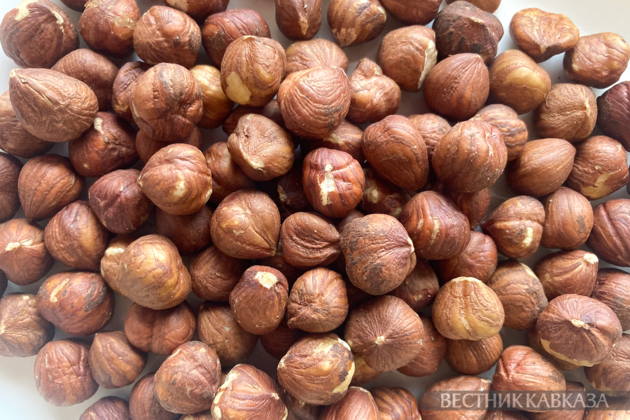 Azerbaijan increases hazelnut export revenue