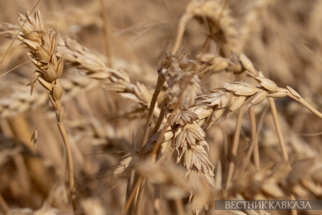 Azerbaijan to transit 26 train cars of Russian grain to Armenia