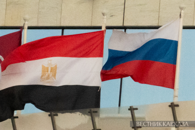 Russian and Egyptian FMs discuss situation in Middle East