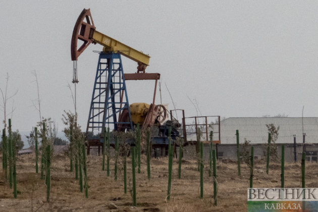 Seven oil fields discovered in Russia since start of year